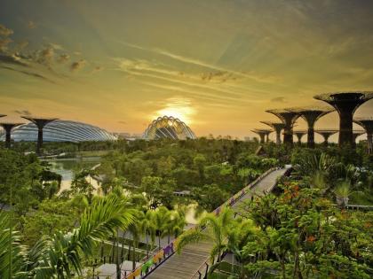 Gardens by the Bay at Sunset, SIngapore