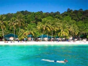 Snorkelling at House Reef, Tuna Bay Island Resort