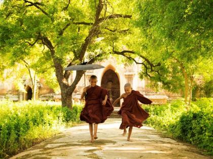 Buddhist boy monks running with umbrella under trees, Myanmar