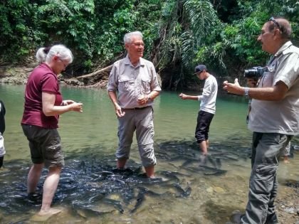 Luanti Natural Fish Spa Borneo