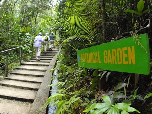 Botanical Garden Kinabalu Park