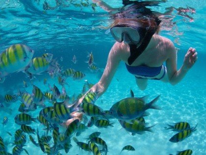 Young woman snorkeling in a tropical sea and feeding fish