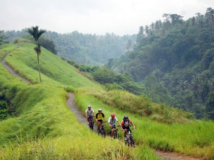 Cycling Rice fields Bali