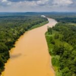 Kinabatangan River, Borneo