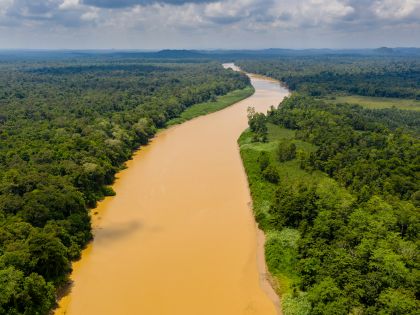 Kinabatangan River, Borneo