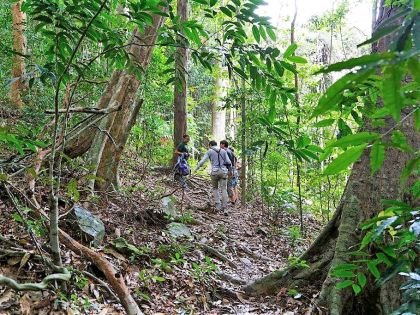 jungle Trek Langkawi