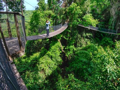 Canopy Bunga Raya Resort