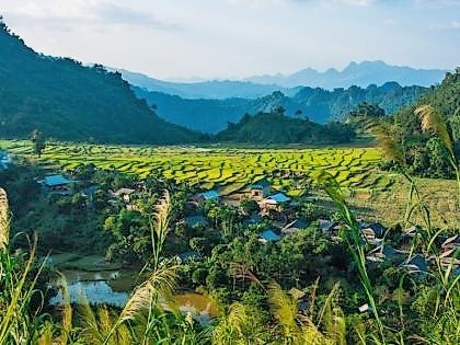 Rice Fields and mountain Mai Chau, Vietnam