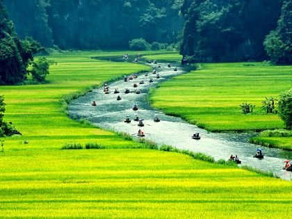 Rice field and river, NinhBinh, vietnam landscapes