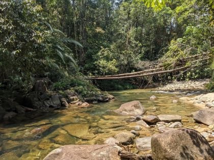 Sungai Kernam Forest Therapy