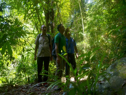 Trekking with guides