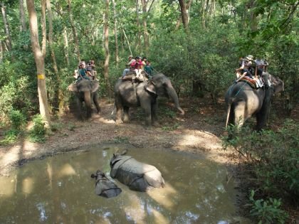 Nepal Wildlife